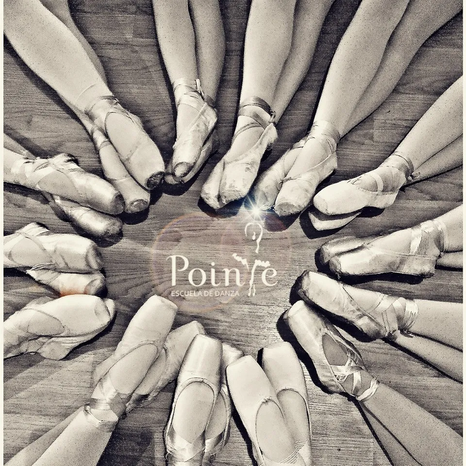 Escuela De Danza Pointe — baile-studio en Santa Úrsula — 5