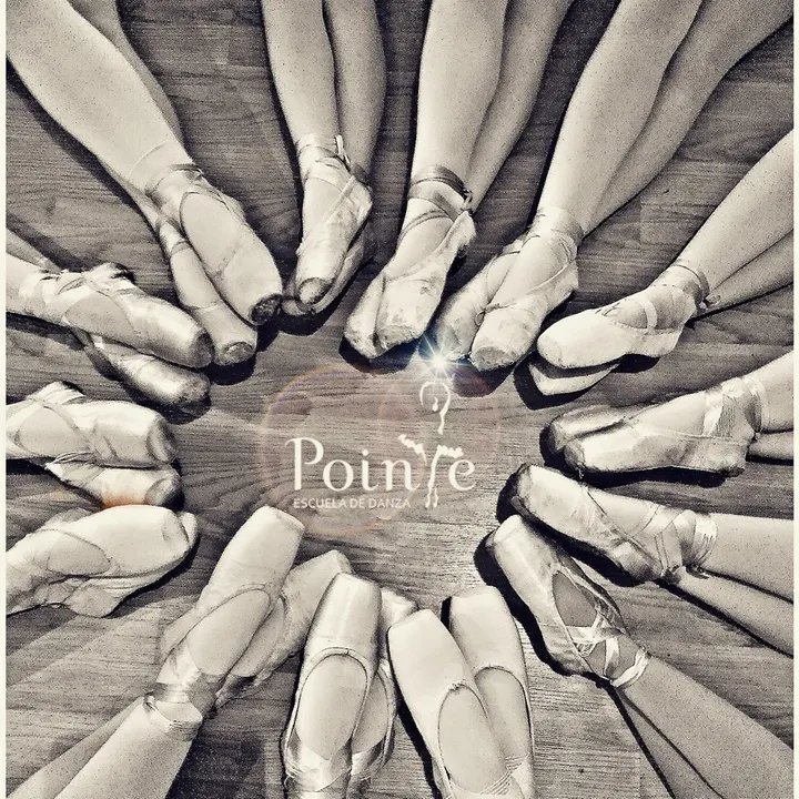 Escuela De Danza Pointe — baile-studio en Sta Úrsula — 5