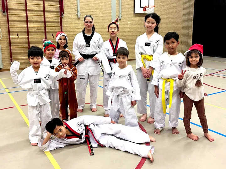 Infiniti Taekwondo — vechtsport-studio in Voorhof, Delft — 2