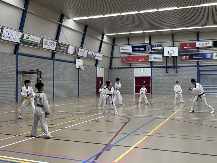 Infiniti Taekwondo — vechtsport-studio in Voorhof, Delft — 3