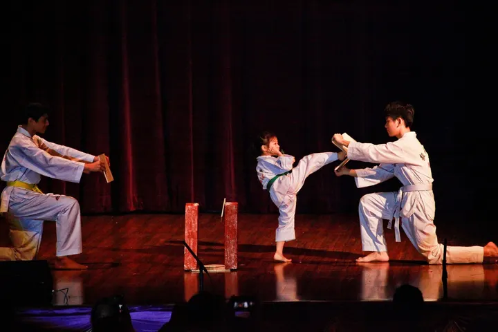 Infiniti Taekwondo — vechtsport-studio in Delft — 4