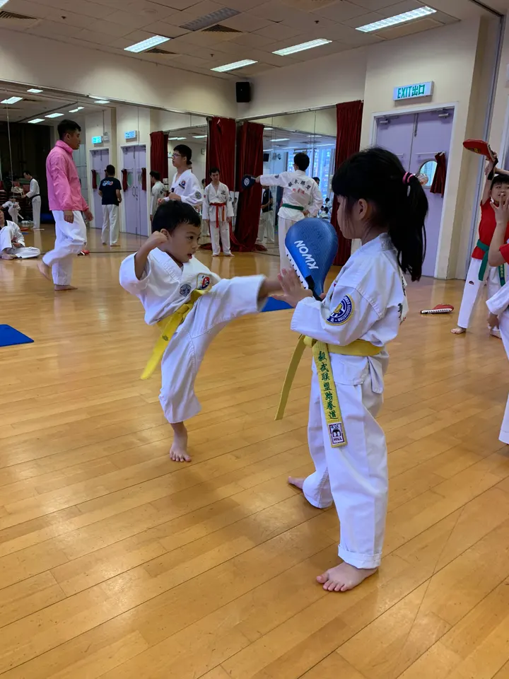 Infiniti Taekwondo — vechtsport-studio in Delft — 5