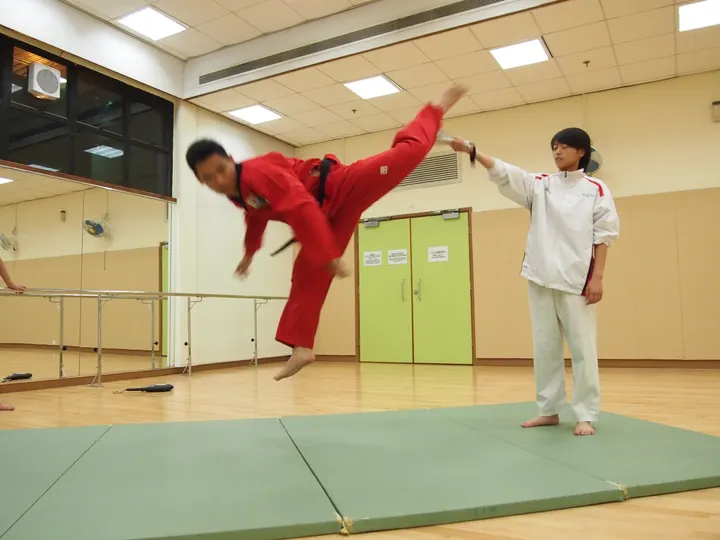 Infiniti Taekwondo — Vechtsport in Voorhof, Delft