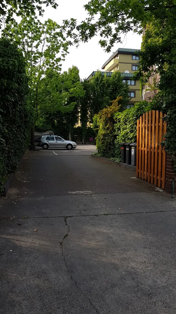 Yogastudio Yoga Sukha — yoga-studio in Südstadt, Hannover — 2