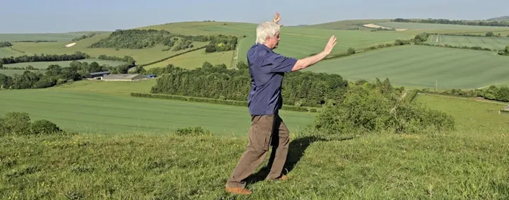 ZenChestnuts Tai Chi — Martial Arts in Brighton and Hove