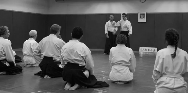 Académie Parisienne d'Aikido du XXeme — arts martiaux-studio à Paris — 3