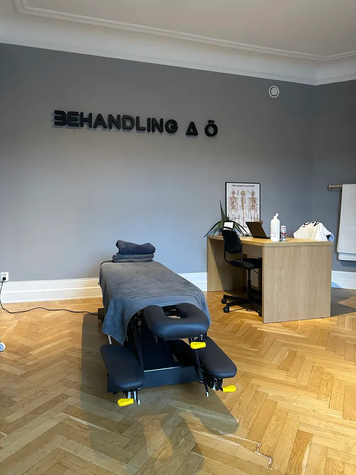 Behandling A-Ö Naprapati — pt studio in Vasastan, Stockholm — 3