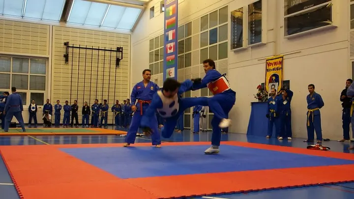 Vovinam Viet Vo Dao JSA Bordeaux — arts martiaux-studio à Bordeaux — 3