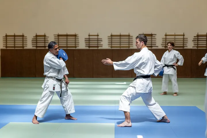Dojo Masséna Et Martiaux — arts martiaux-studio à Lyon — 3