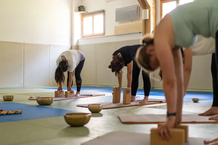 Dojo Masséna Et Martiaux — arts martiaux-studio à Lyon — 4