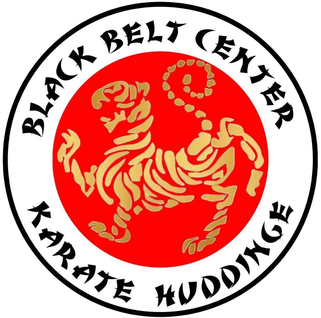 BlackBeltCenter — kampsport-studio i Sjödalen, Huddinge — 3