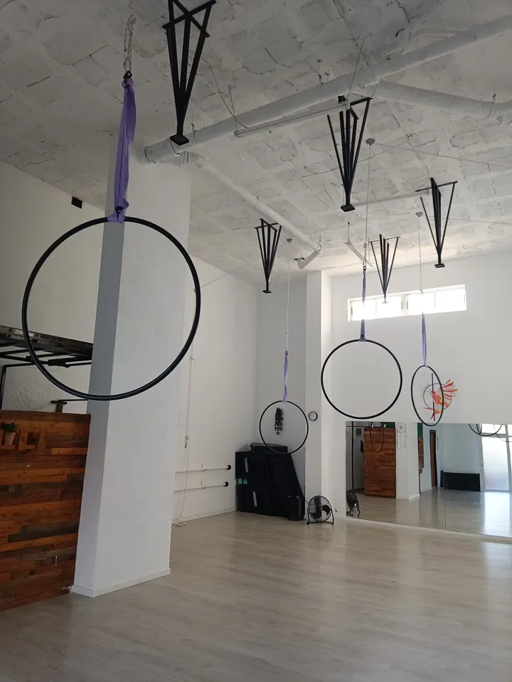 Pole Dance Fénix Estudio Alicante — Estudio de fitness en Villafranquesa, Alicante