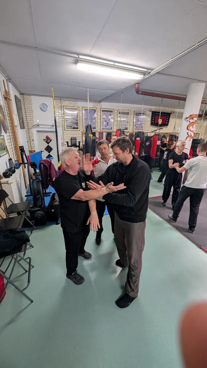 WingTsun Akademie Kiel — Kampfsport in Exerzierplatz, Kiel