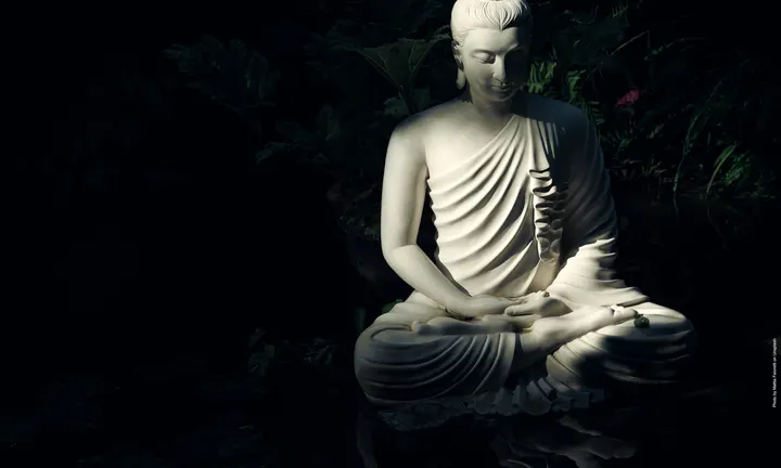 Shinrin Zendo — Meditazione a Cagliari