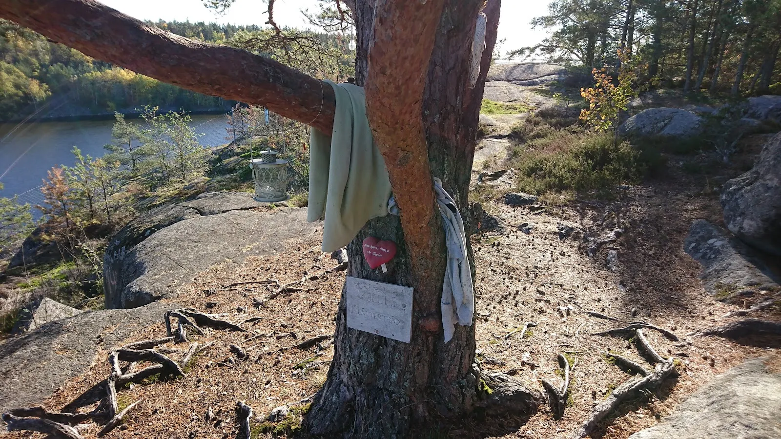 Ryssgraven climbing area — klättring-studio i Kungsängen — bild 2