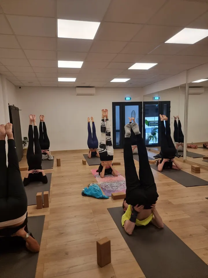 Alice Yoga Pilates Sur Mars — yoga-studio à Marseille — 3