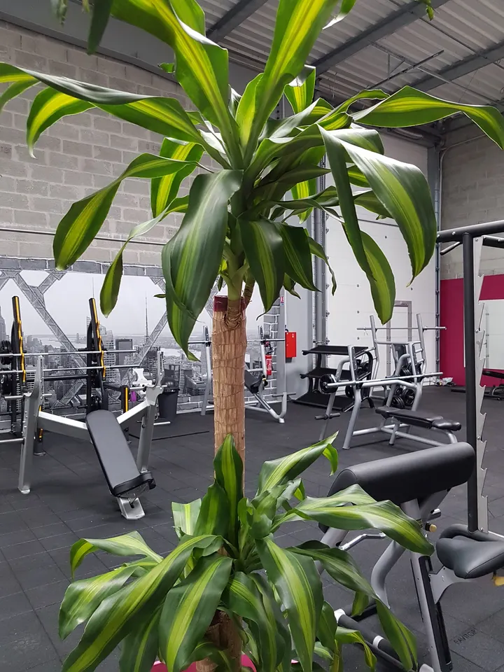 Forme Inside — salle de fitness-studio à La Haie-Fouassière — 3