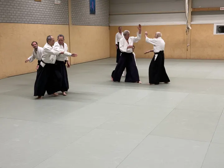 Aikido Ryu Jan Rusman — vechtsport-studio in Haarlem — 3