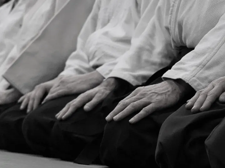 Aikido Ryu Jan Rusman — Vechtsport in Haarlem