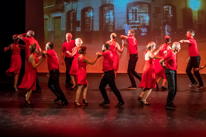 Swing Cat Dance School — danse-studio à Montpellier — 5