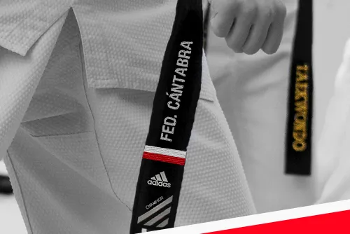 Federación Cántabra De Taekwondo — artes marciales-studio en Santander — 3
