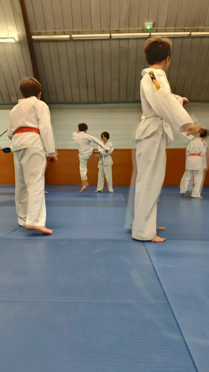 Rouen Taekwondo Academy — arts martiaux-studio à Quartier Grieu / Vallon Suisse / Saint-Hilaire, Rouen — 3