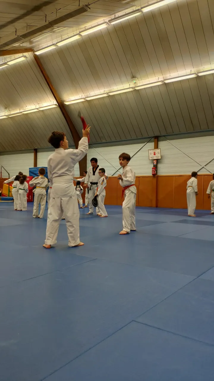 Rouen Taekwondo Academy — Arts martiaux à Quartier Grieu / Vallon Suisse / Saint-Hilaire, Rouen
