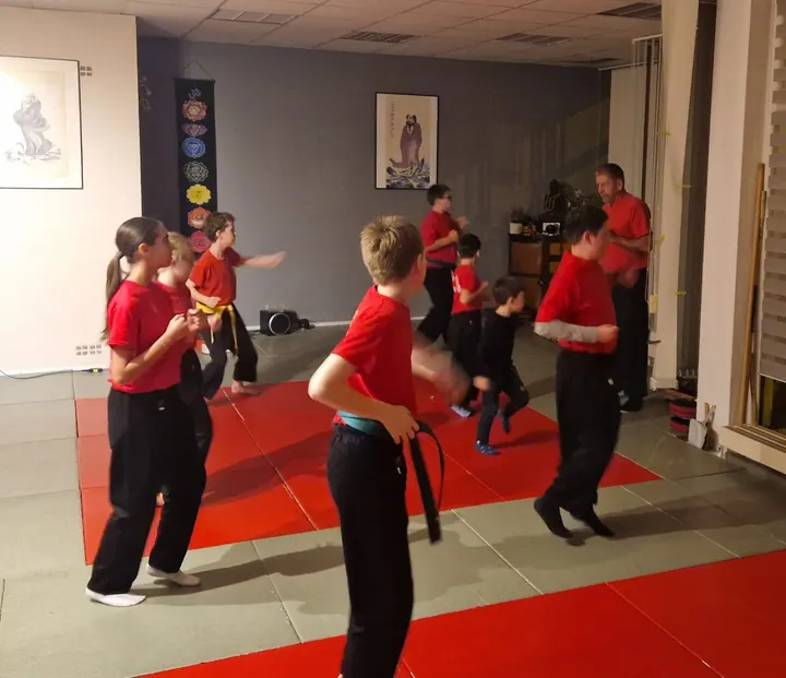 Werner-Wushu-Taichi-Akademie — kampfsport-studio in Frankfurt am Main — 4