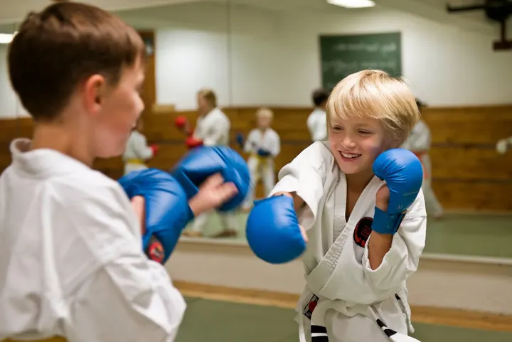 Budokan Trainingszentrum Halle — kampfsport-studio in Halle (Saale) — 4