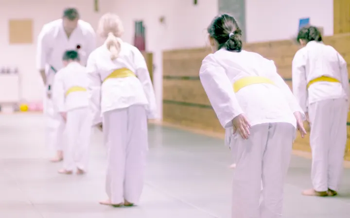 Budokan Trainingszentrum Halle — Kampfsport in Südstadt, Halle (Saale)