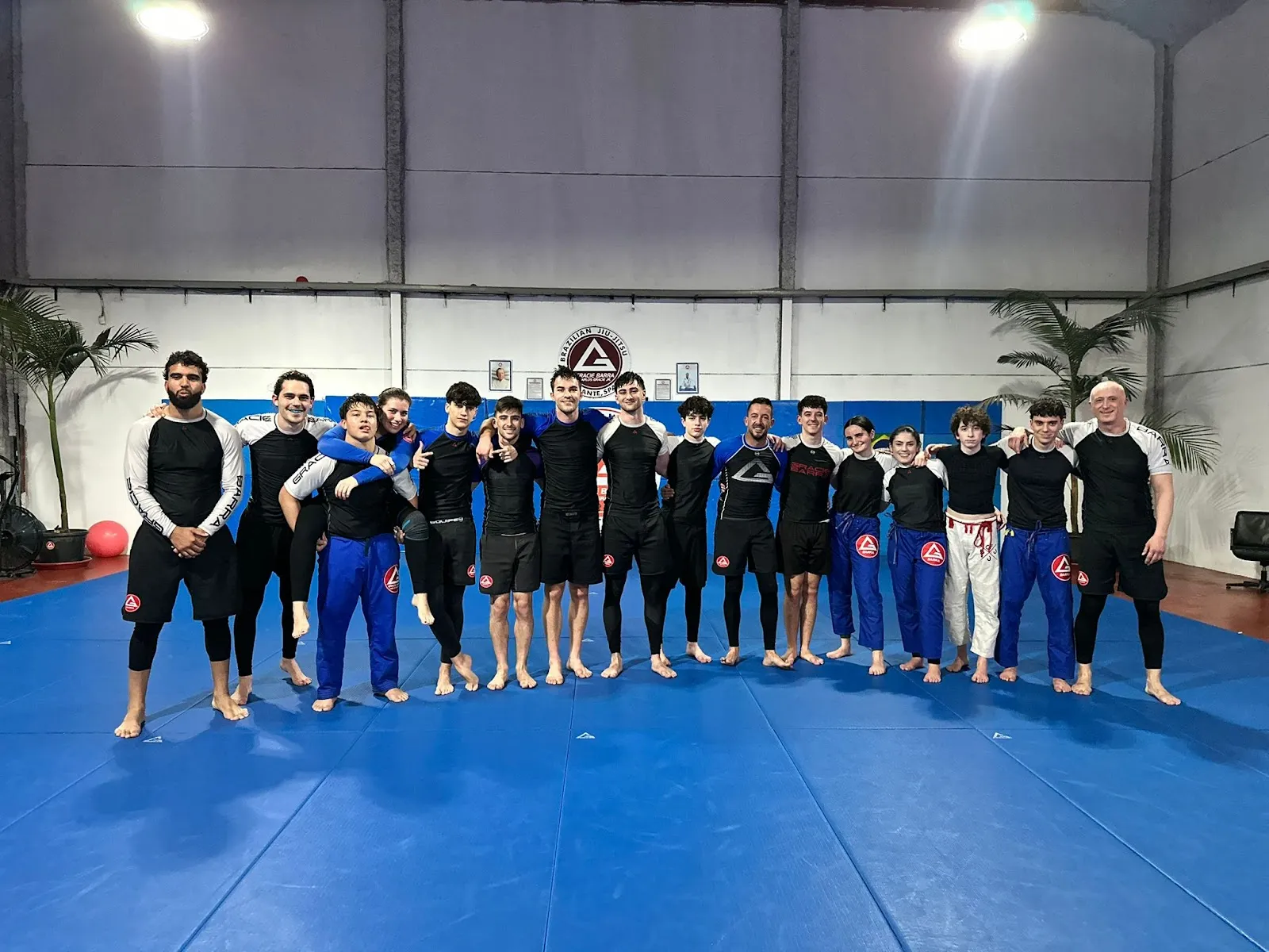 Gracie Barra Alicante Brazilian Jiu-jitsu — artes marciales-studio en San Vicente del Raspeig — 3