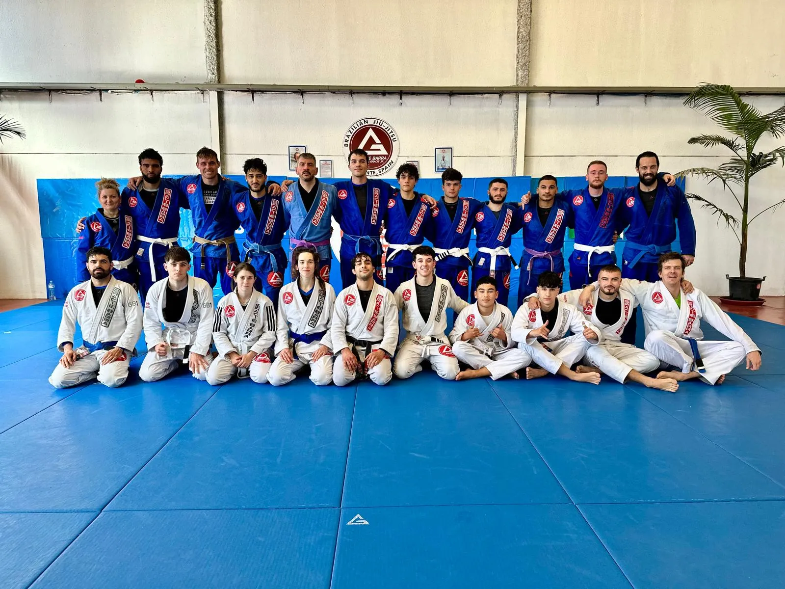 Gracie Barra Alicante Brazilian Jiu-jitsu — artes marciales-studio en San Vicente del Raspeig — 5