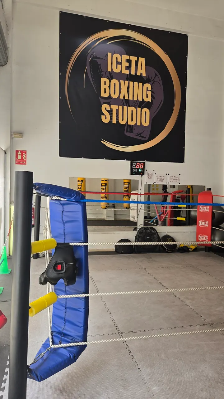 Iceta Boxing studio — artes marciales-studio en El Perú, Santa Cruz de Tenerife — 3