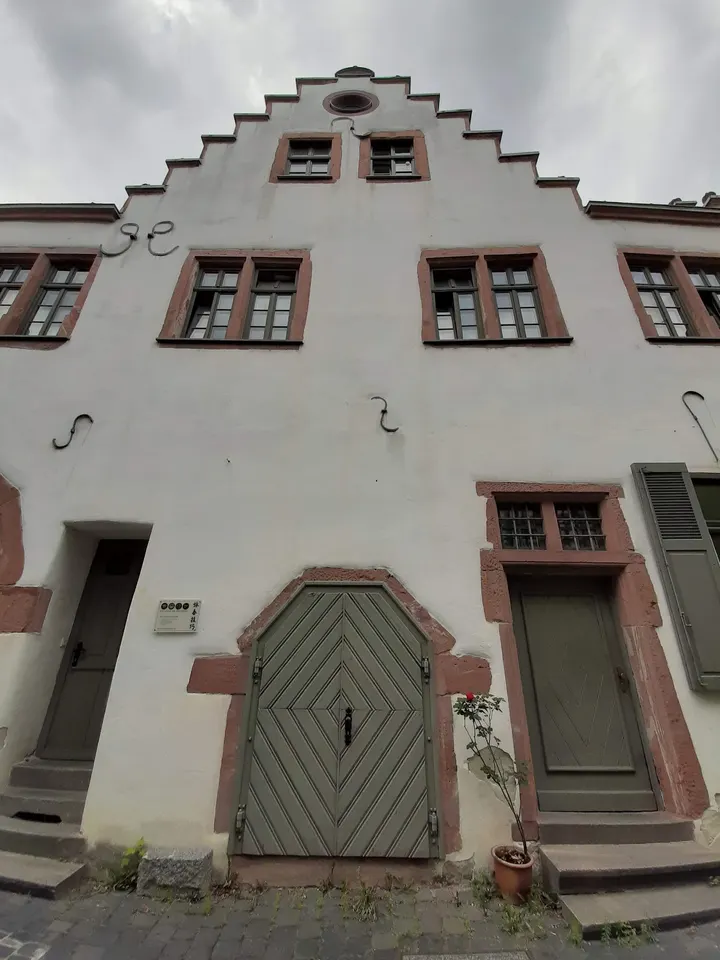 Der Tempel der alten Künste — Kampfsport in Höchst, Frankfurt am Main