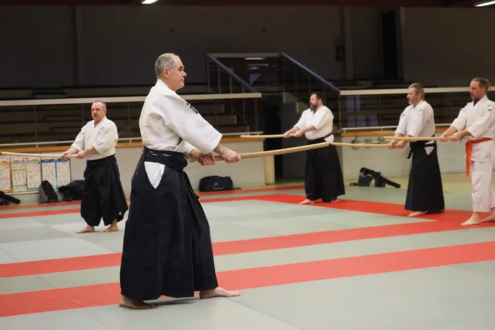Shoshin Aiki Dojo — arts martiaux-studio à Villeneuve-d'Ascq, Lille — 2