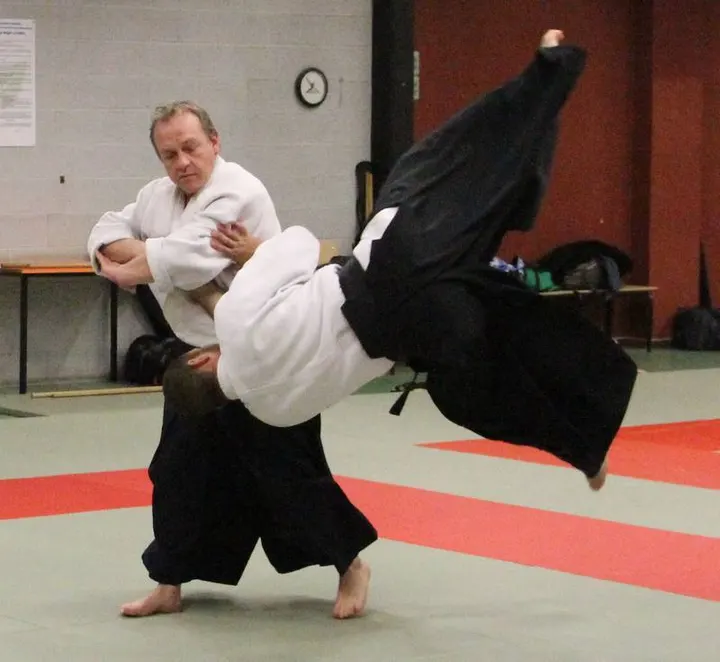 Shoshin Aiki Dojo — arts martiaux-studio à Lille — 3