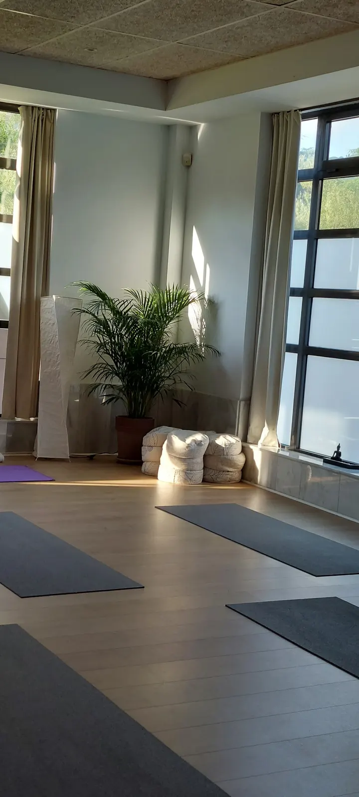 Parashakti Yoga Eskola Tolosa — yoga-studio en Tolosa — 3