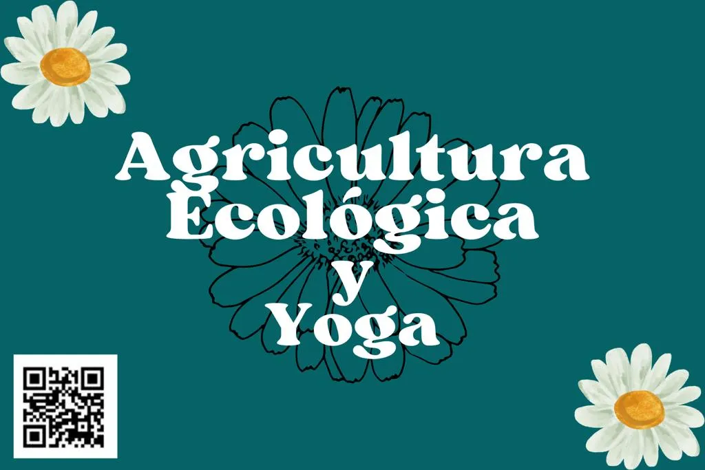Centro De Yoga Mar Garita — yoga-studio en La Garita — 3