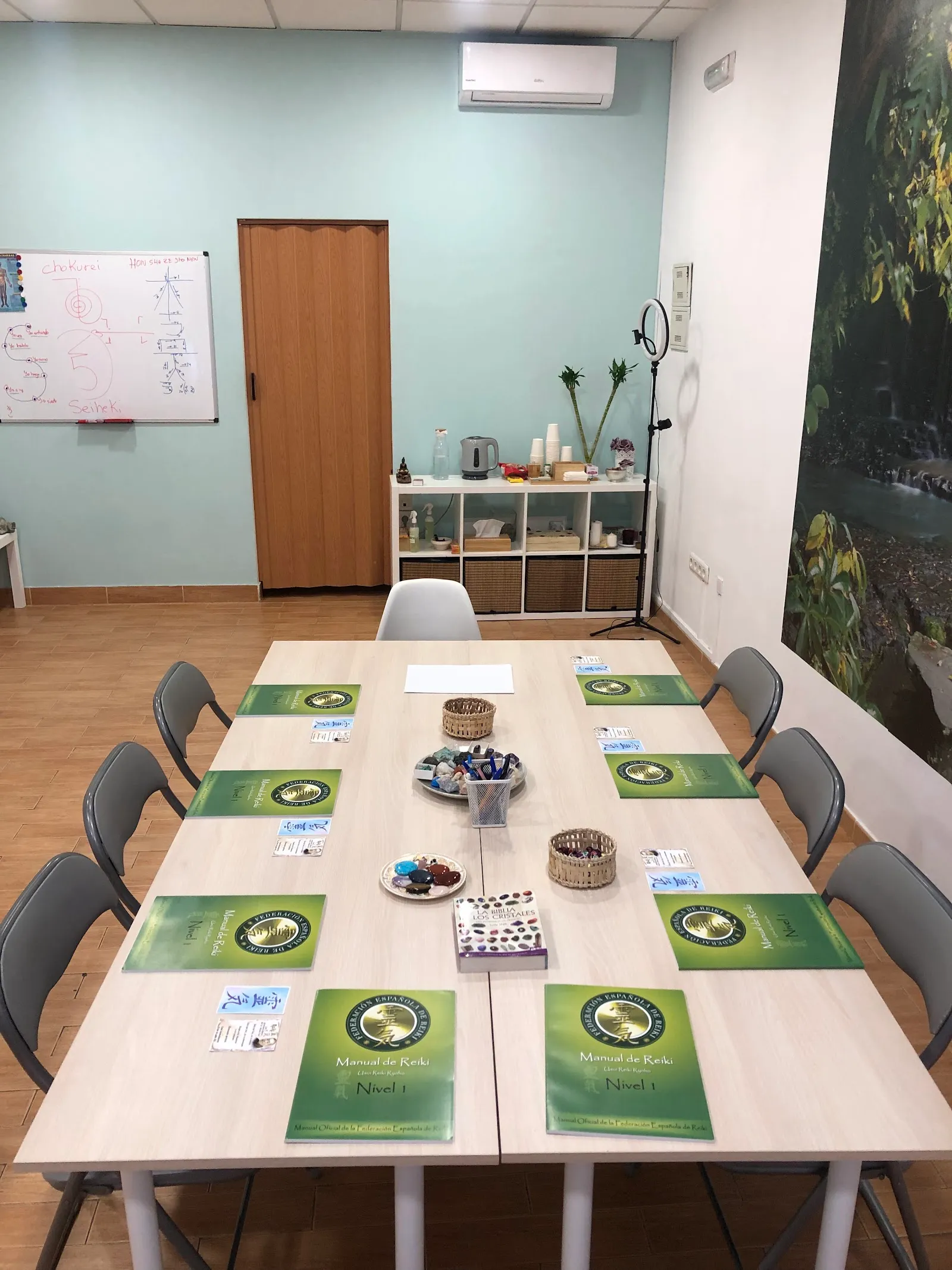 Escuela De Reiki Vida, Cursos De Reiki y Terapias. — meditación-studio en Los Boliches, Fuengirola — 2