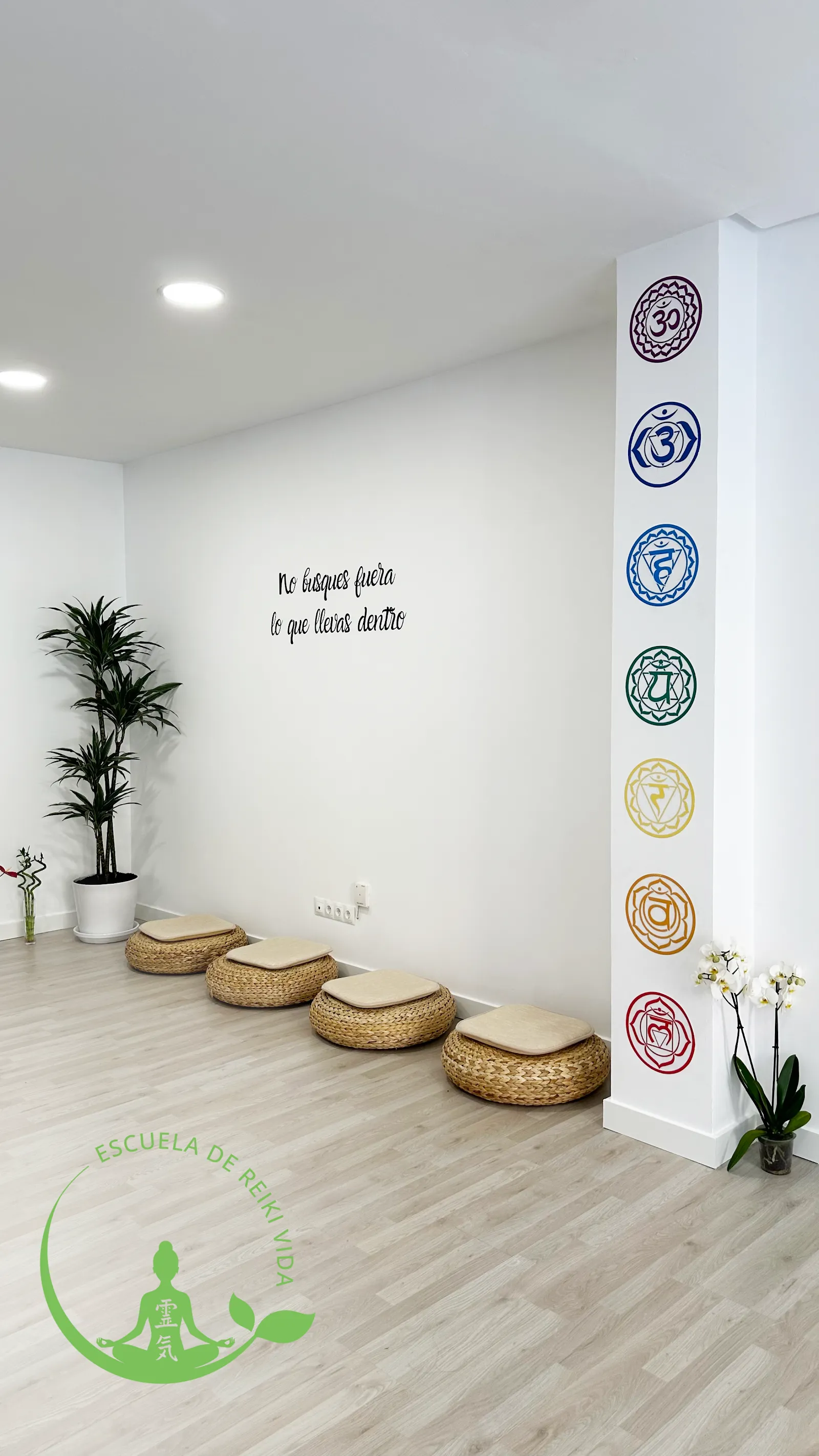 Escuela De Reiki Vida, Cursos De Reiki y Terapias. — meditación-studio en Fuengirola — 3