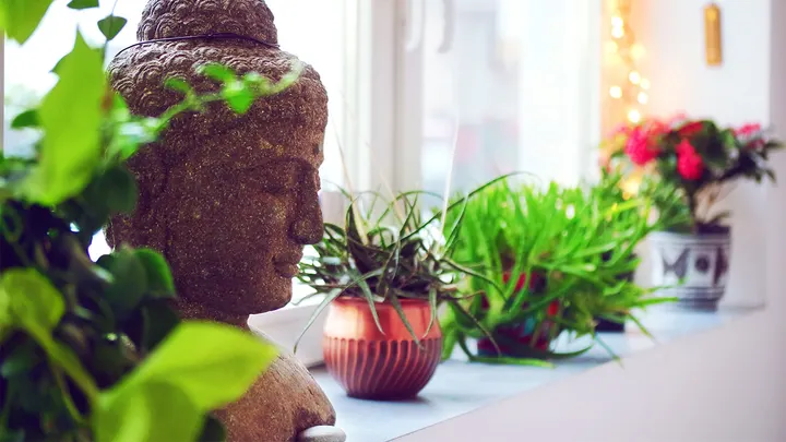 OM Yoga Stuttgart — Yoga in Rotebühl, Stuttgart