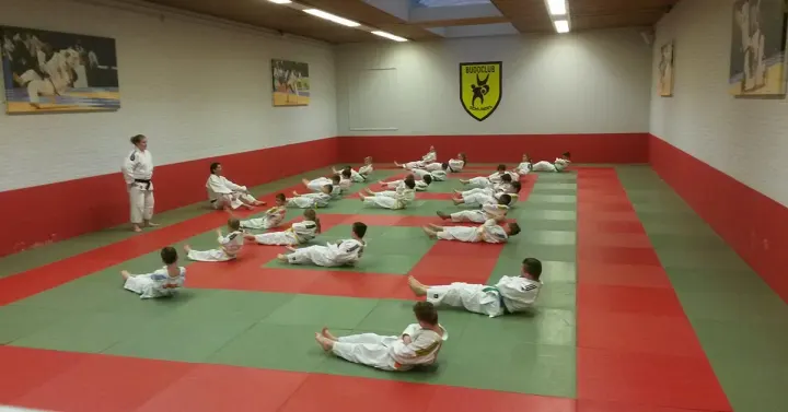 Budoclub Schijndel — Vechtsport in De Borne 1, Schijndel