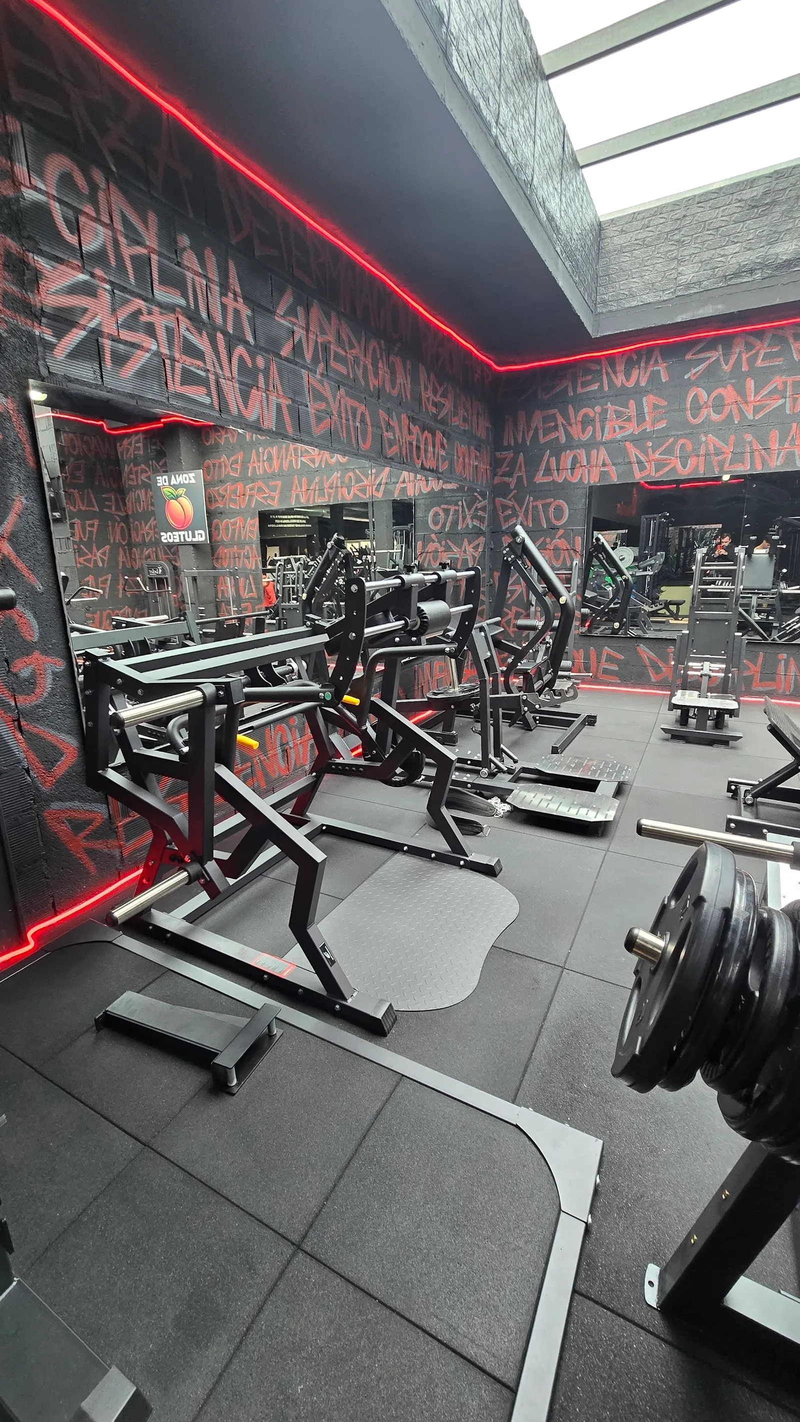 Gimnás Manacor — estudio de fitness-studio en Manacor — 2