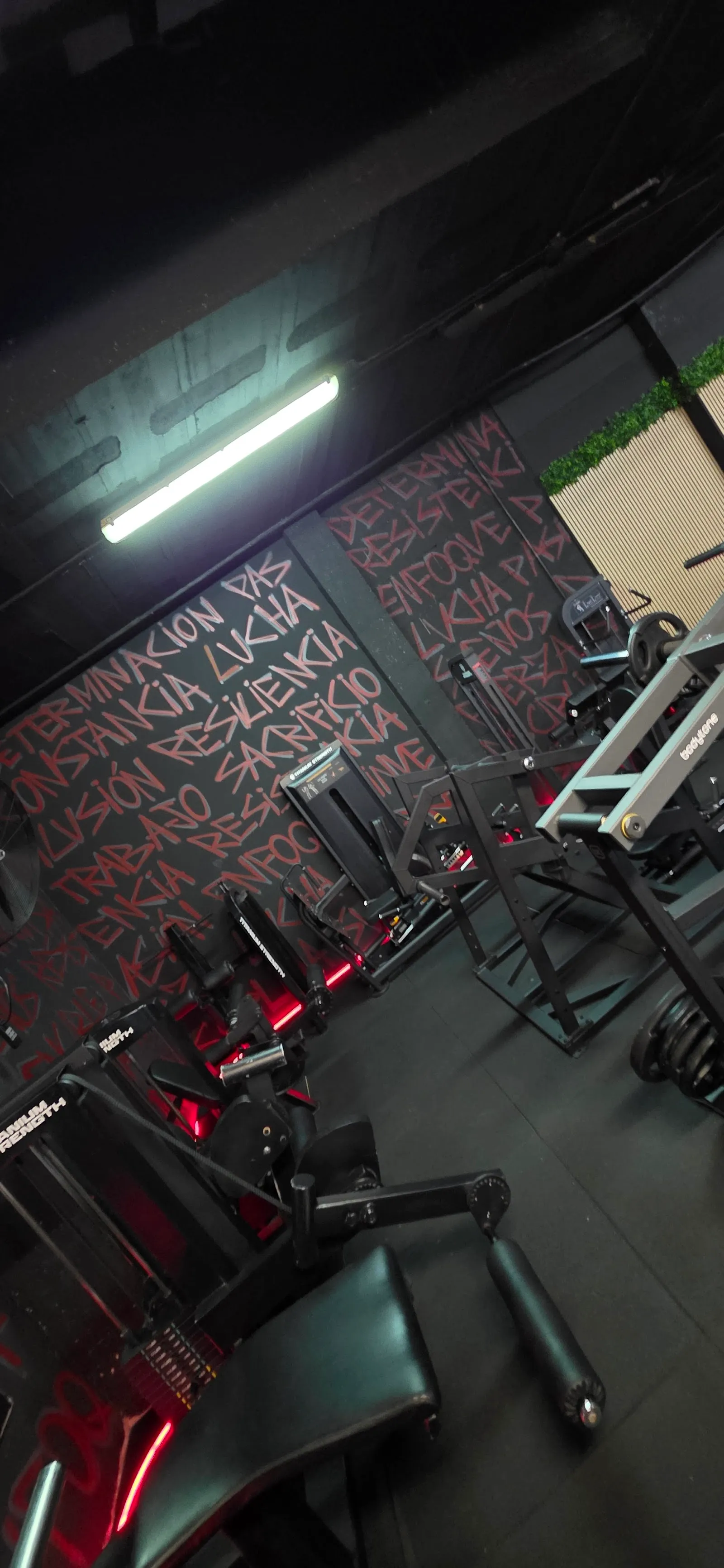 Gimnás Manacor — estudio de fitness-studio en Manacor — 5