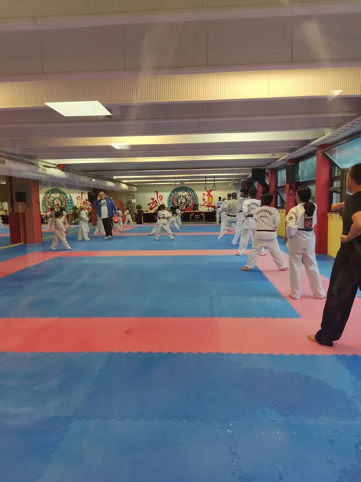Strømmen Taekwondo senter — Kampsport i Søndre Stalsberg, Strømmen