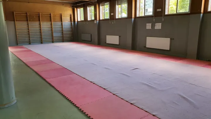 Wushu Fuenlabrada — artes marciales-studio en El Molino, Fuenlabrada — 3