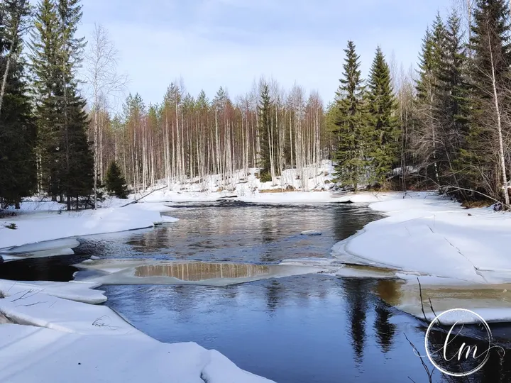 Luonnon mukaan — wellness-studio – Haaparinne, Siilinjärvi — 3