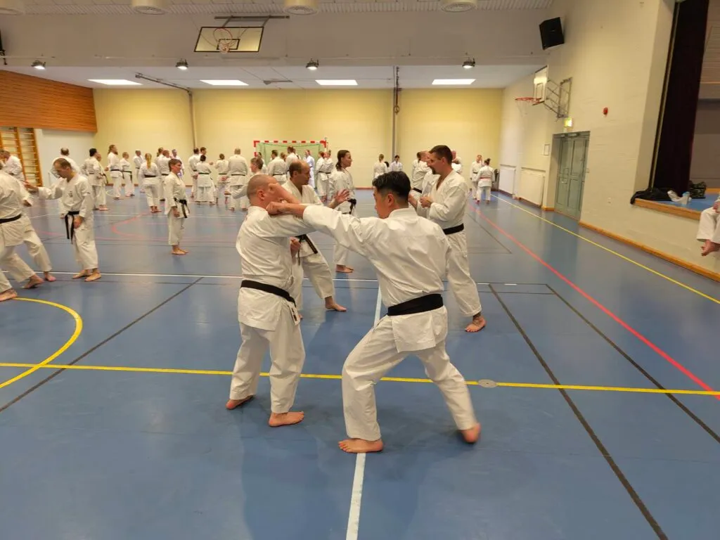 Kungsängens Kampsport & Självförsvarsförening — kampsport-studio i Öråker, Kungsängen — bild 3
