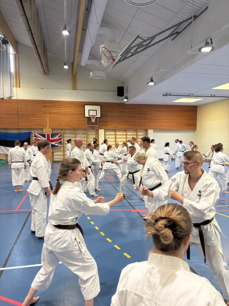 Kungsängens Kampsport & Självförsvarsförening — kampsport-studio i Kungsängen — bild 4