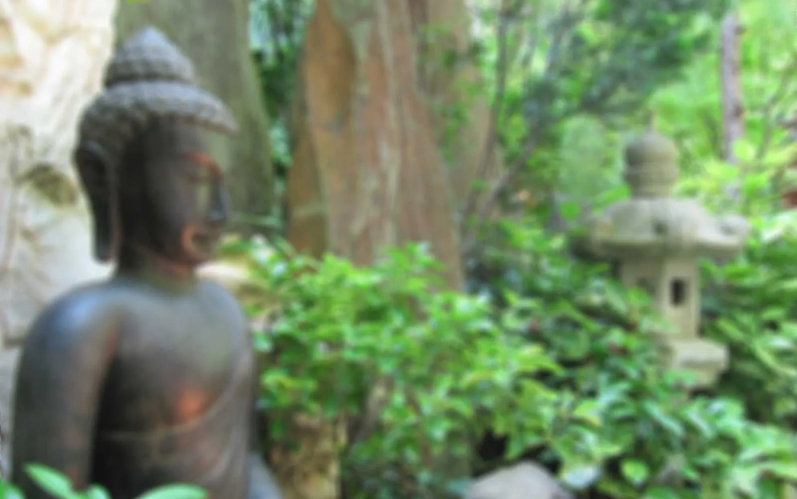 Taoversity — yoga-studio in Karlsruhe — 3